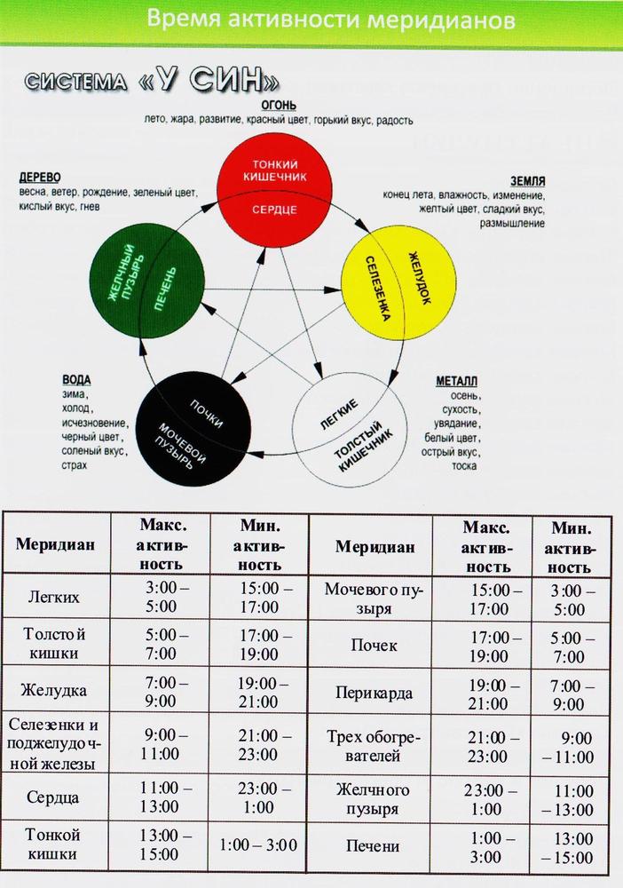 Меридианы человека по часам активности схема